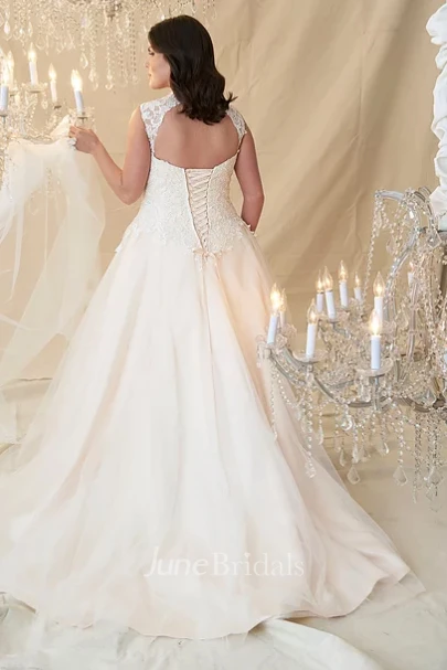 Ball Gown V-Neck Beaded Sleeveless Tulle&Lace Plus Size Wedding Dress
