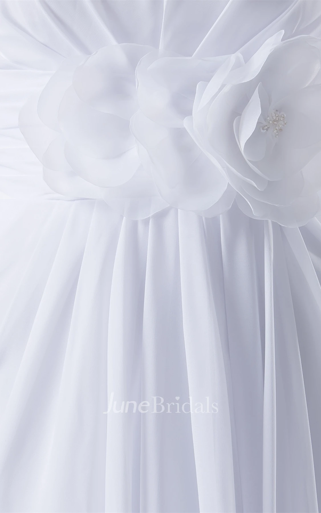 Ethereal A-Line Chiffon Floor-Length Dress with Pleats and Flower