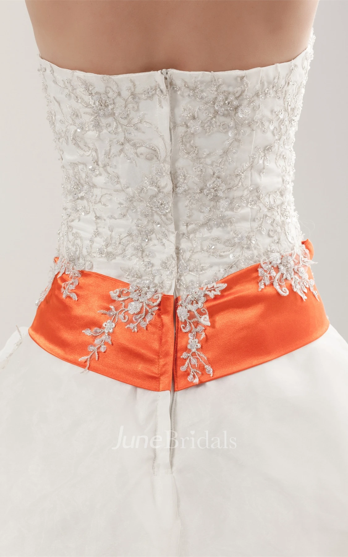 Sleeveless A-Line Pick-Up Gown with Collar and Appliques