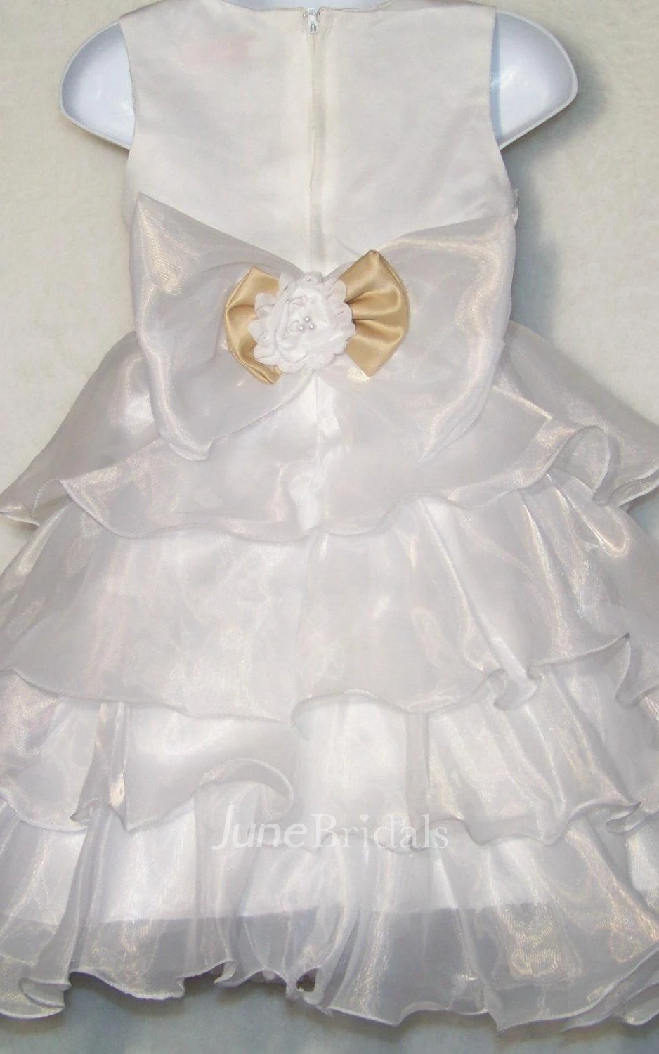 Sleeveless Scoop Neck Flower Bodice Organza Toddler Dress