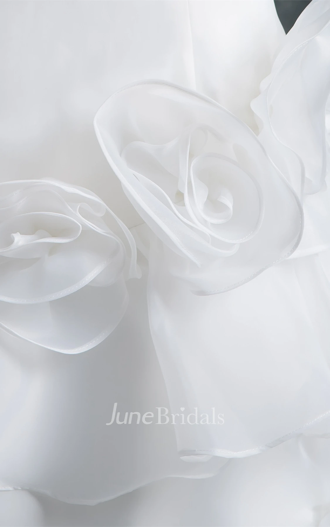 One-Shoulder Column A-Line Gown with Peplum and Flower