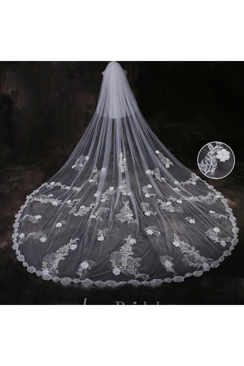 Ethereal Cathedral Tulle Wedding Veil with Lace Edge and Flower Appliques