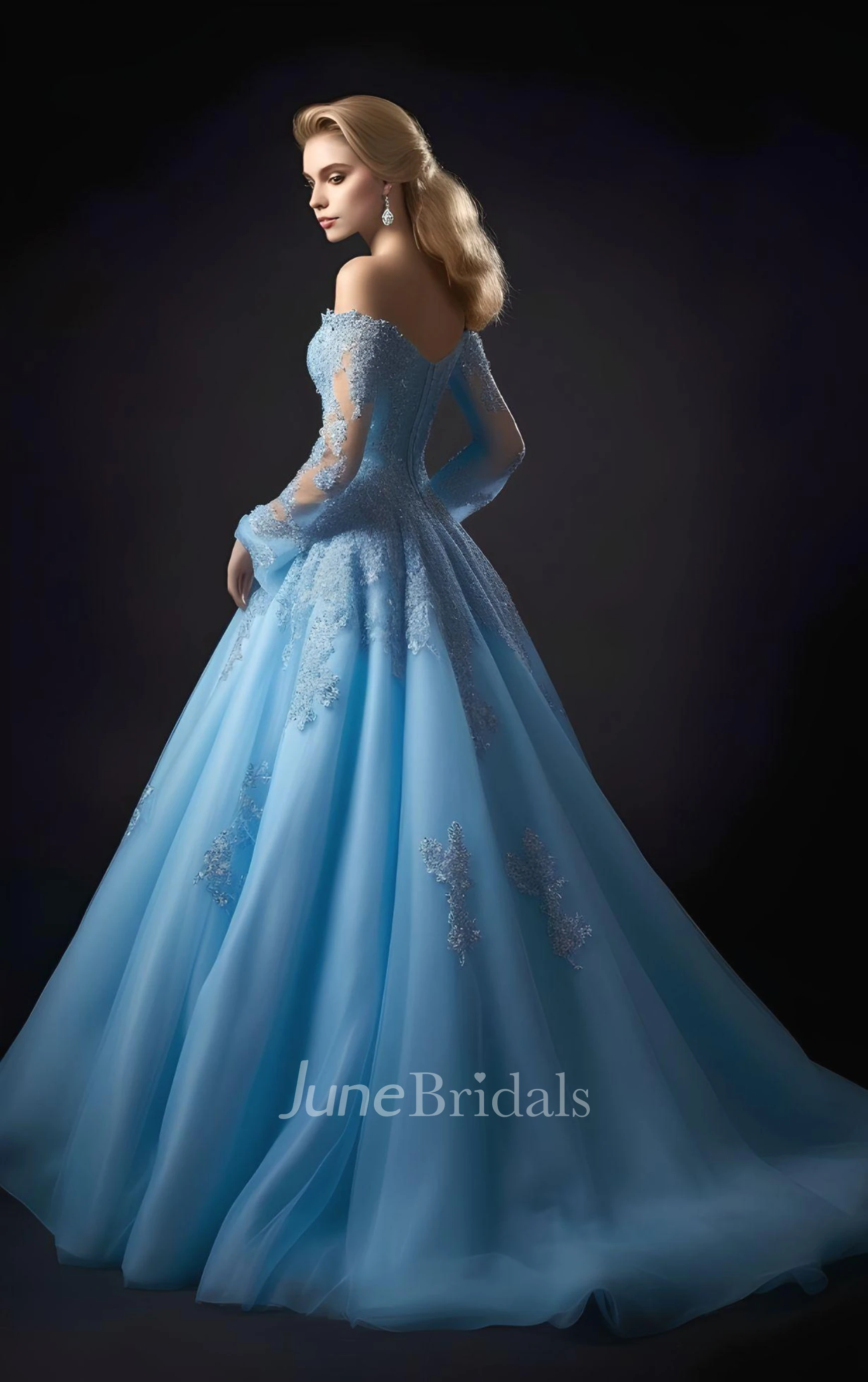 Blue long hotsell sleeve ball gown