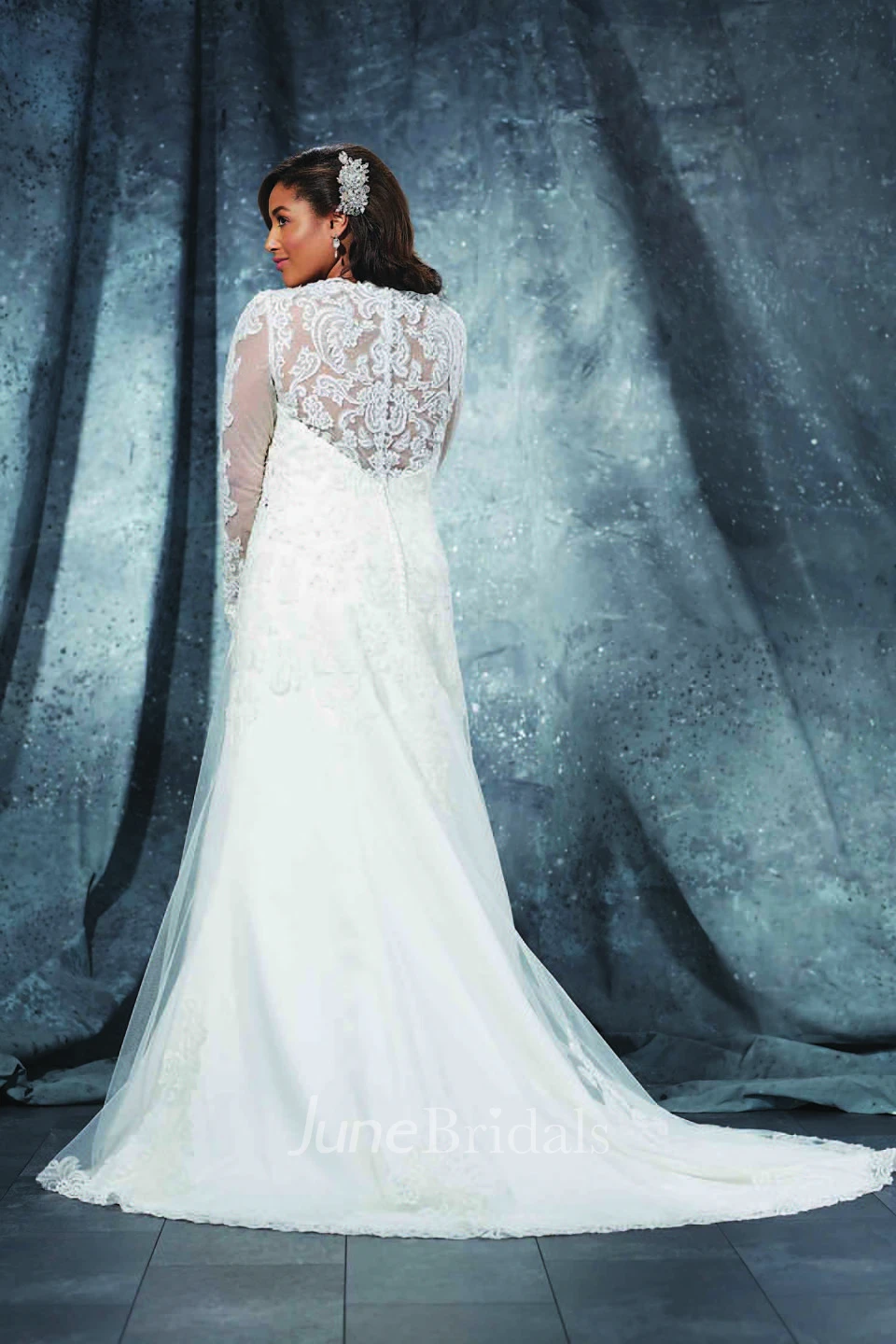 A-Line Long Bateau Neck Long Sleeve Lace Brush Train Illusion  Dress