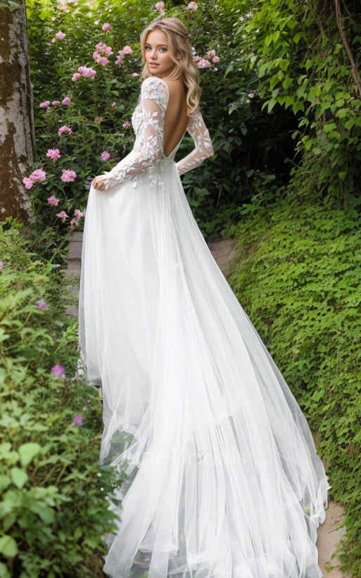 Sexy Ethereal A-Line Plunging Neckline Long Sleeve Lace Appliques Tulle Winter Wedding Dress Vintage Elegant Garden Floor-length Deep-V Back Bridal Gown with Train