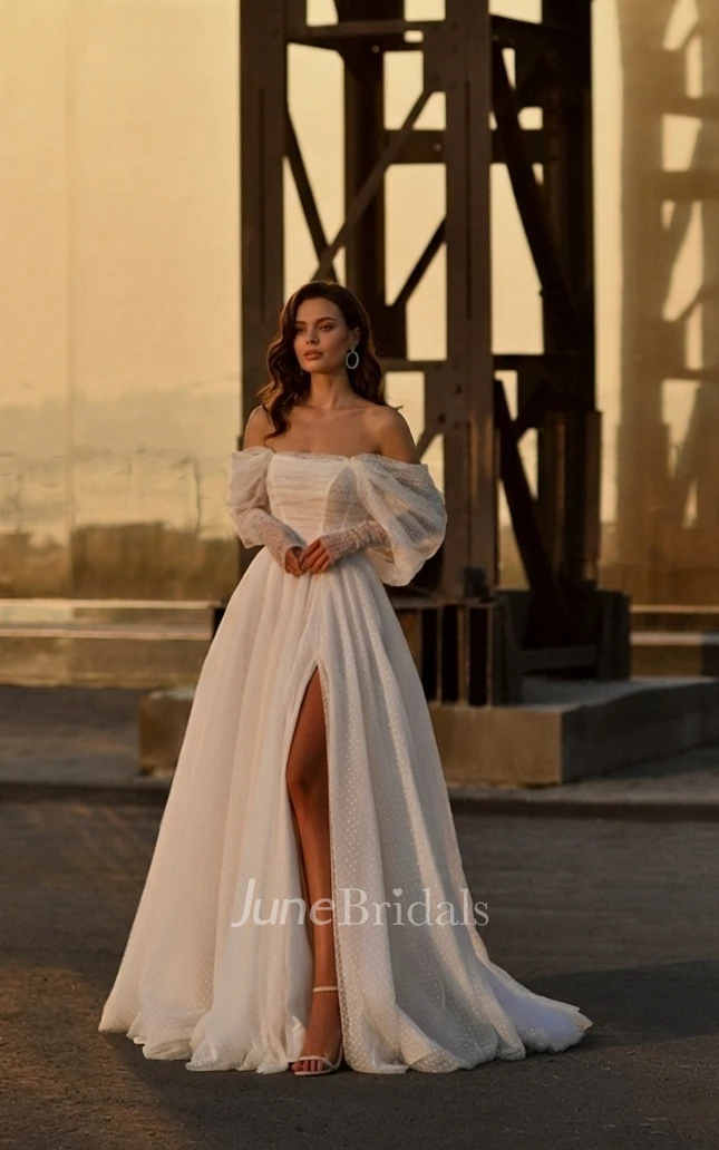 Vintage Romantic Off-the-shoulder A-Line Tulle Warm Wedding Dress Simple Sexy Adorable Lace-up Back Floor-length Split Front Bridal Gown with Train