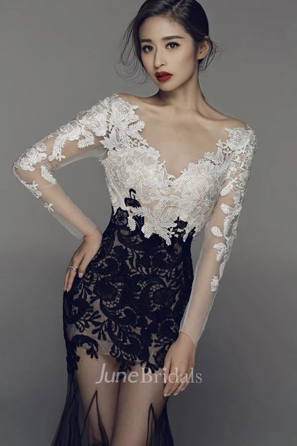 Two Tune Sexy Mermaid Illusion Long Sleeve Dress With Appliques