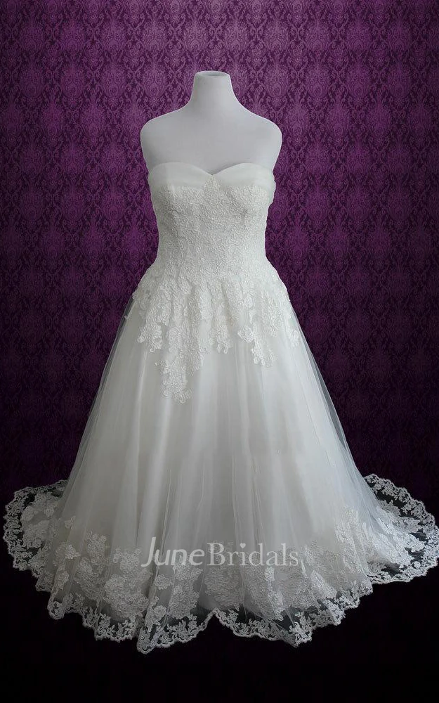 Plus Size Strapless Lace Princess A Line Lace Fairy Tale Disney Dress
