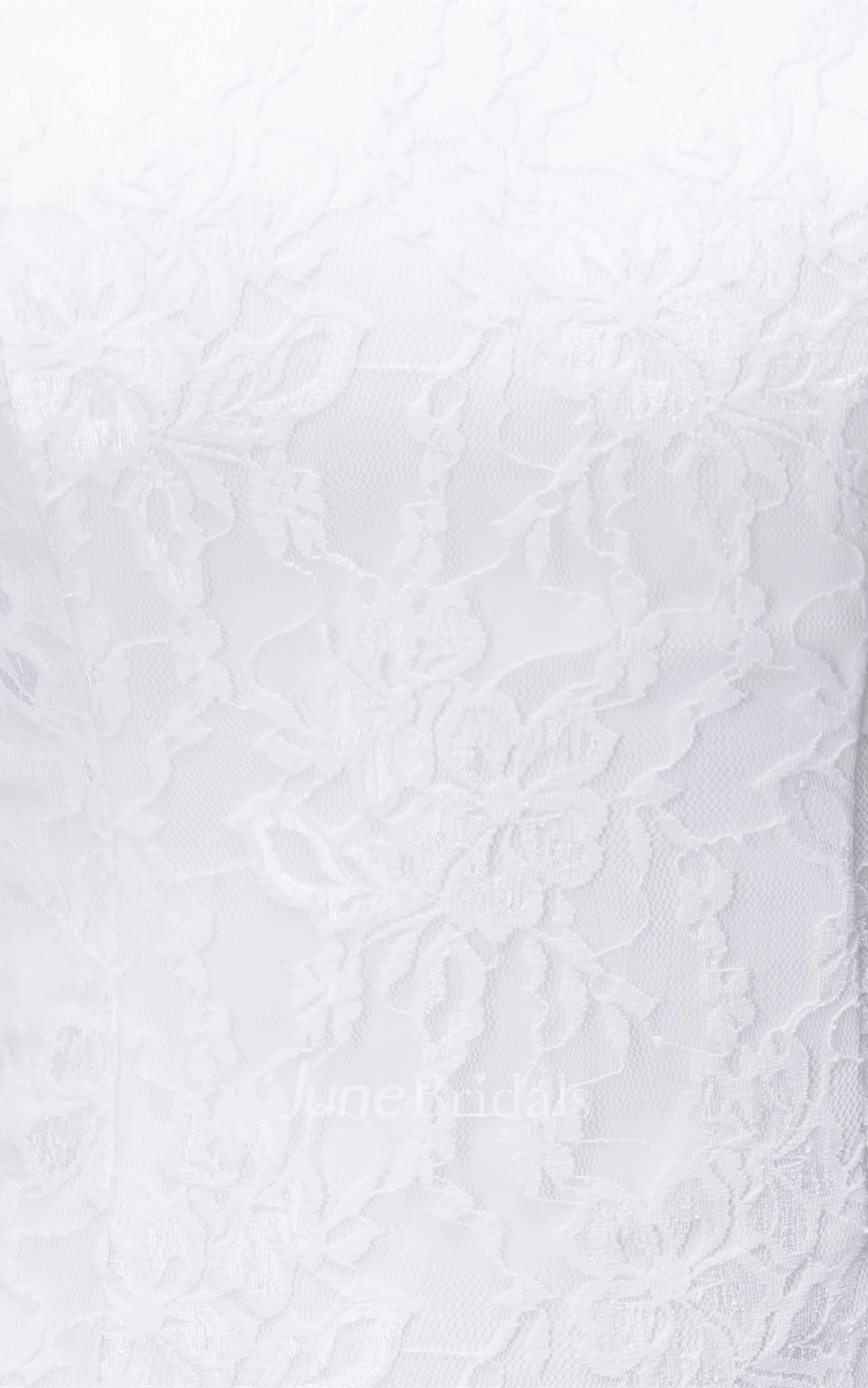 Short-Sleeve Lace Column Gown with Low-V Back