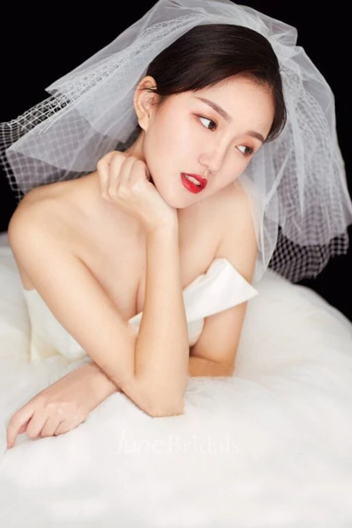 Large Mesh Bride Multi-layer Short Paragraph simple Wedding Veils For Photography 