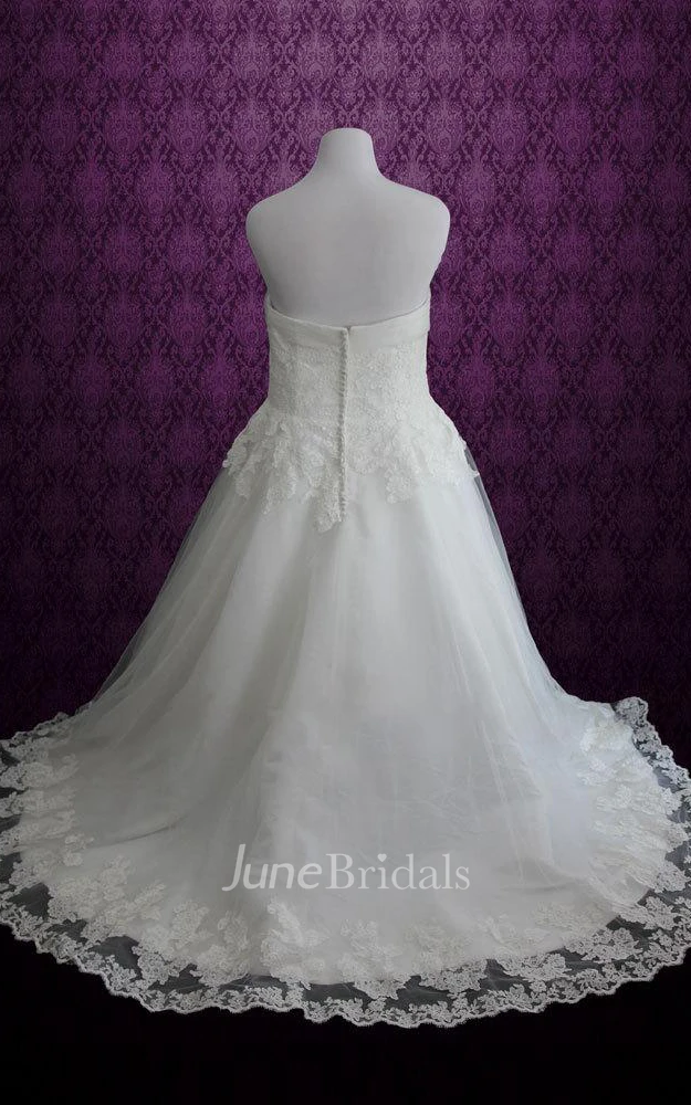 Plus Size Strapless Lace Princess A Line Lace Fairy Tale Disney Dress