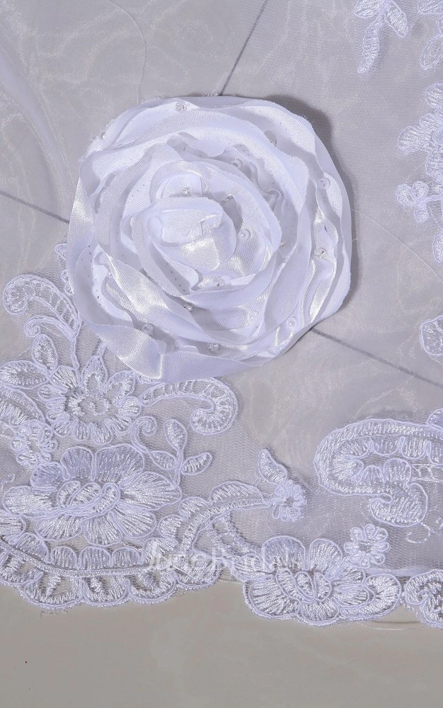 Lovely Strapless Sweetheart Lace-appliqued Ball Gown With English Net and Brooch