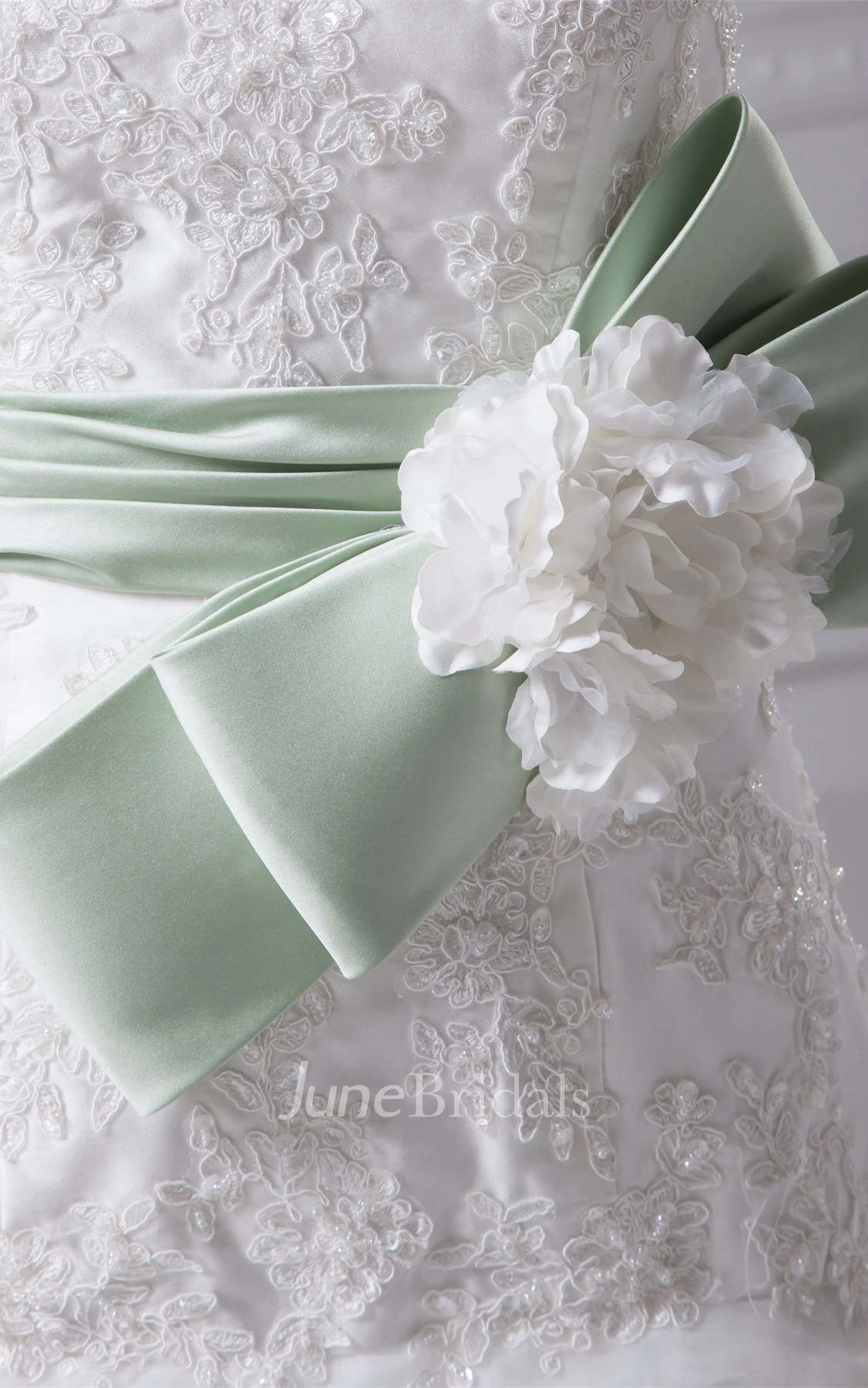 Strapless Appliqued A-Line Gown with Beading and Floral Bow
