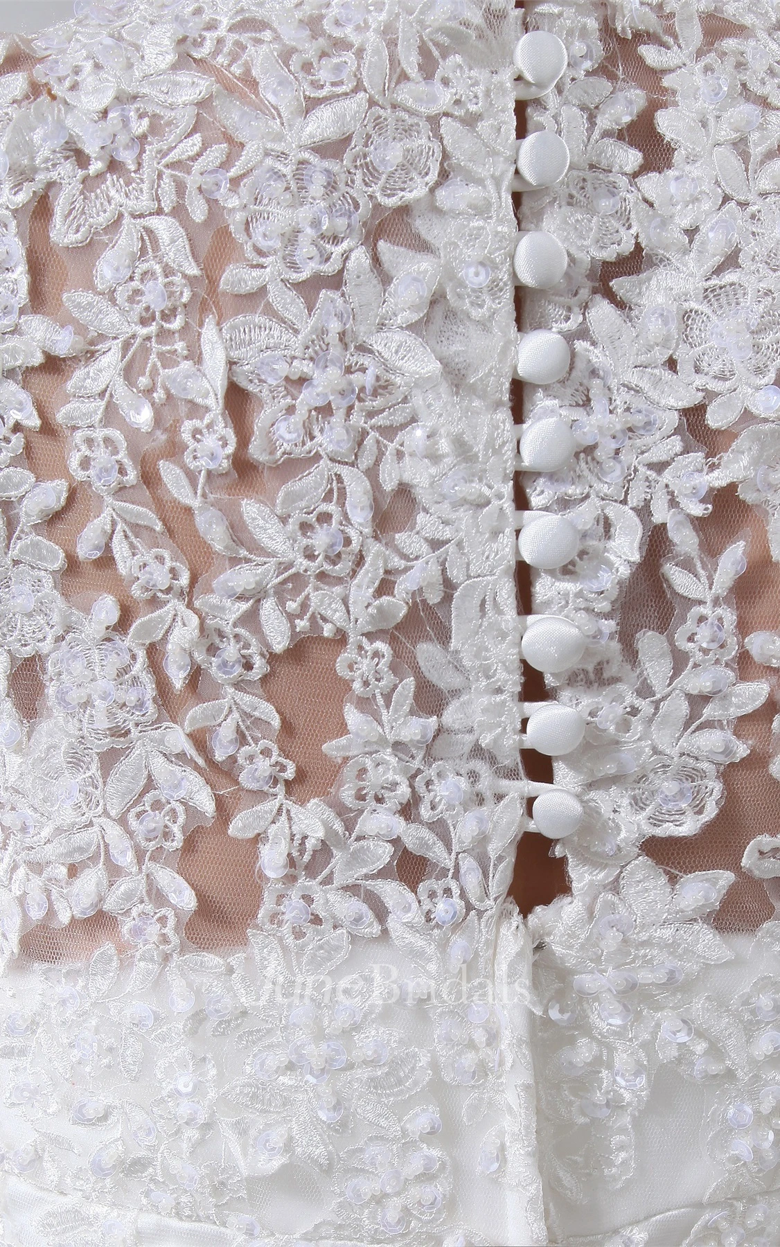 Queen-Anne Mermaid Tulle Dress with Appliques and Court Train