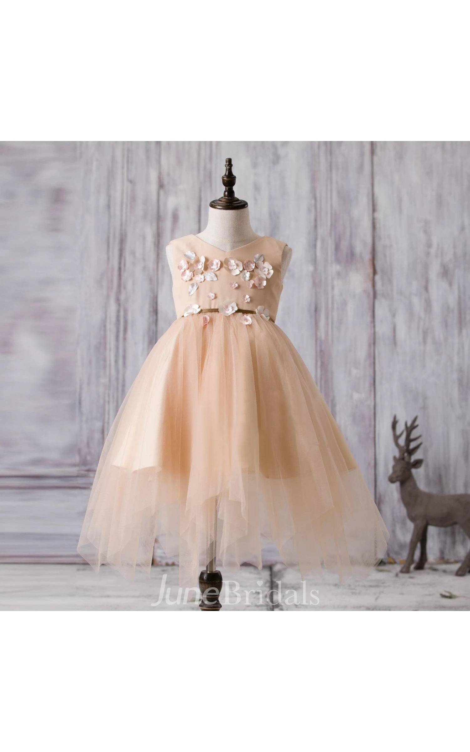Sleeveless V-neck Flower Applique A-line Tulle Dress