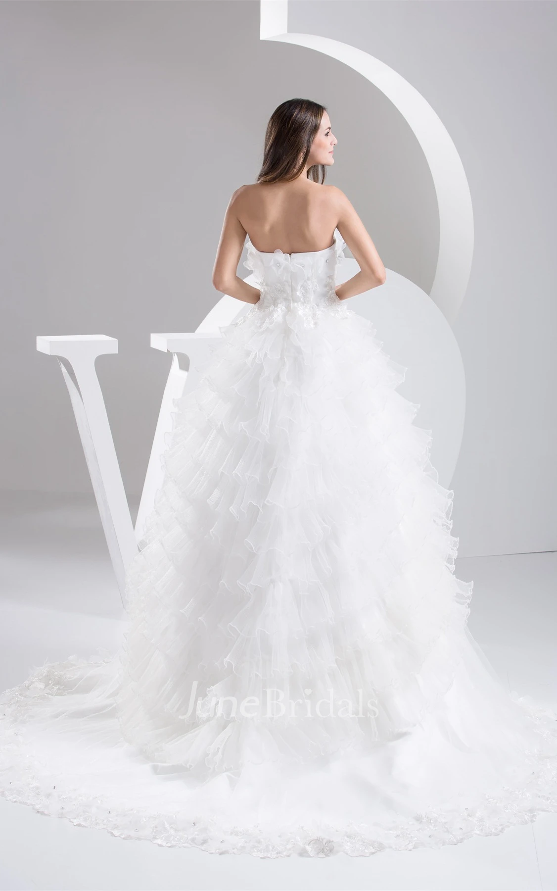 Floral Tulle A-Line Ball Gown with Tiers and Appliques