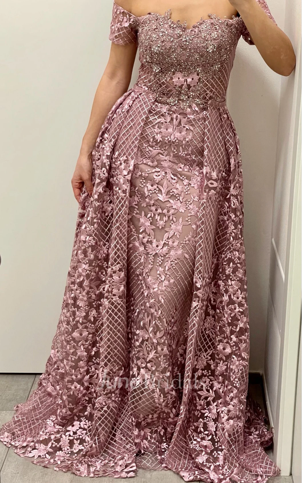 Modern Brush Train Sleeveless Lace Trumpet Zipper Evening Dress with Appliques