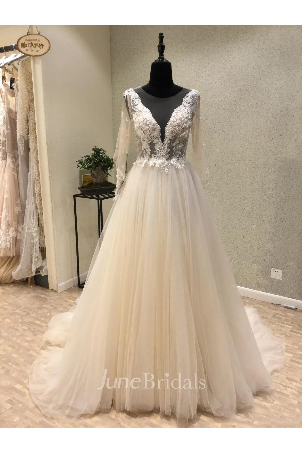 Elegant Floor-Length Sheer Long Sleeve Sexy Appliques Bridal Veil With Court Train