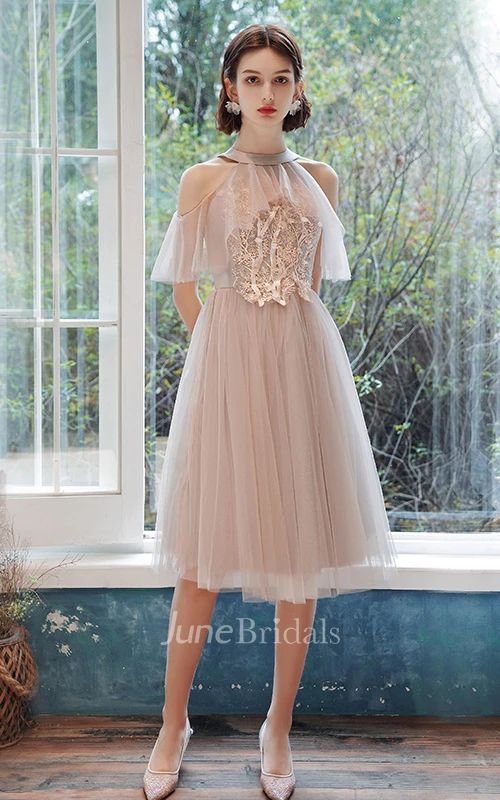 Casual Tulle Bateau Halter Off-the-shoulder A Line Cocktail Homecoming Dress With Appliques