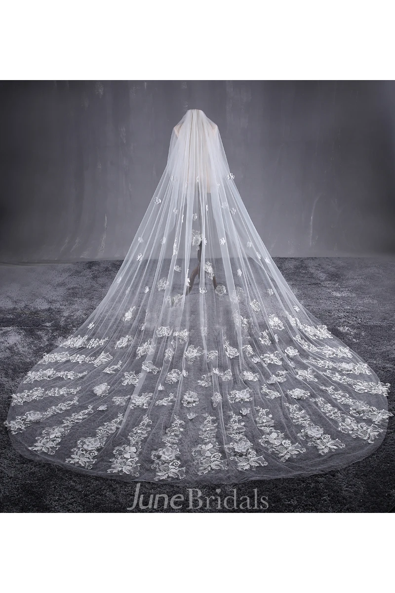New Beautiful Long Tailed Bride Wedding Veil with Lace Flower