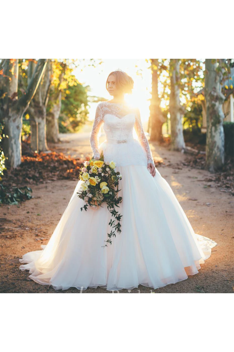 Faddish Sweetheart Organza Ball Gown Wedding Dresses With Floor-Length