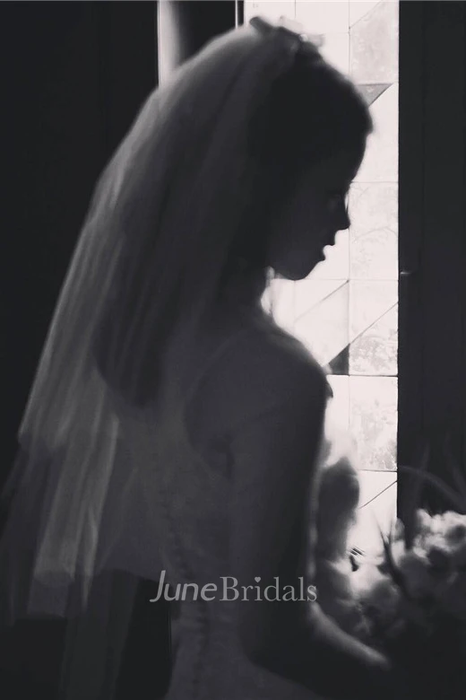 Simple Wedding Veil With Bow and Insert Comb