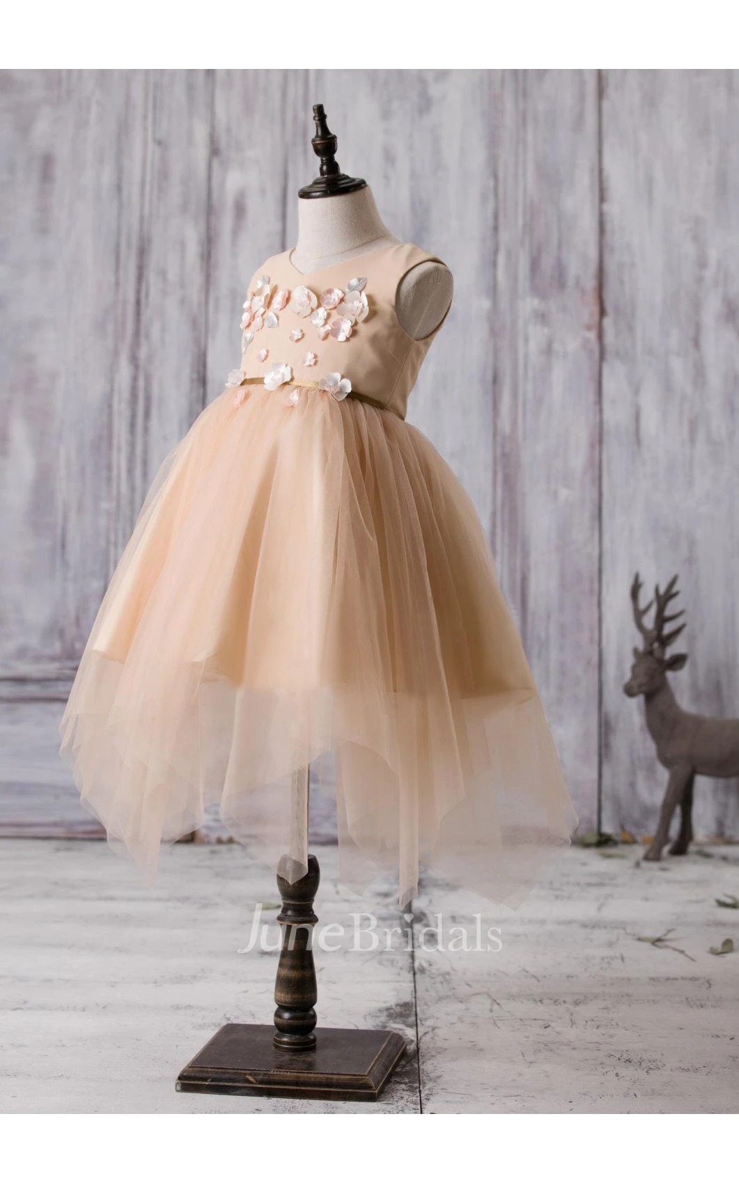 Sleeveless V-neck Flower Applique A-line Tulle Dress
