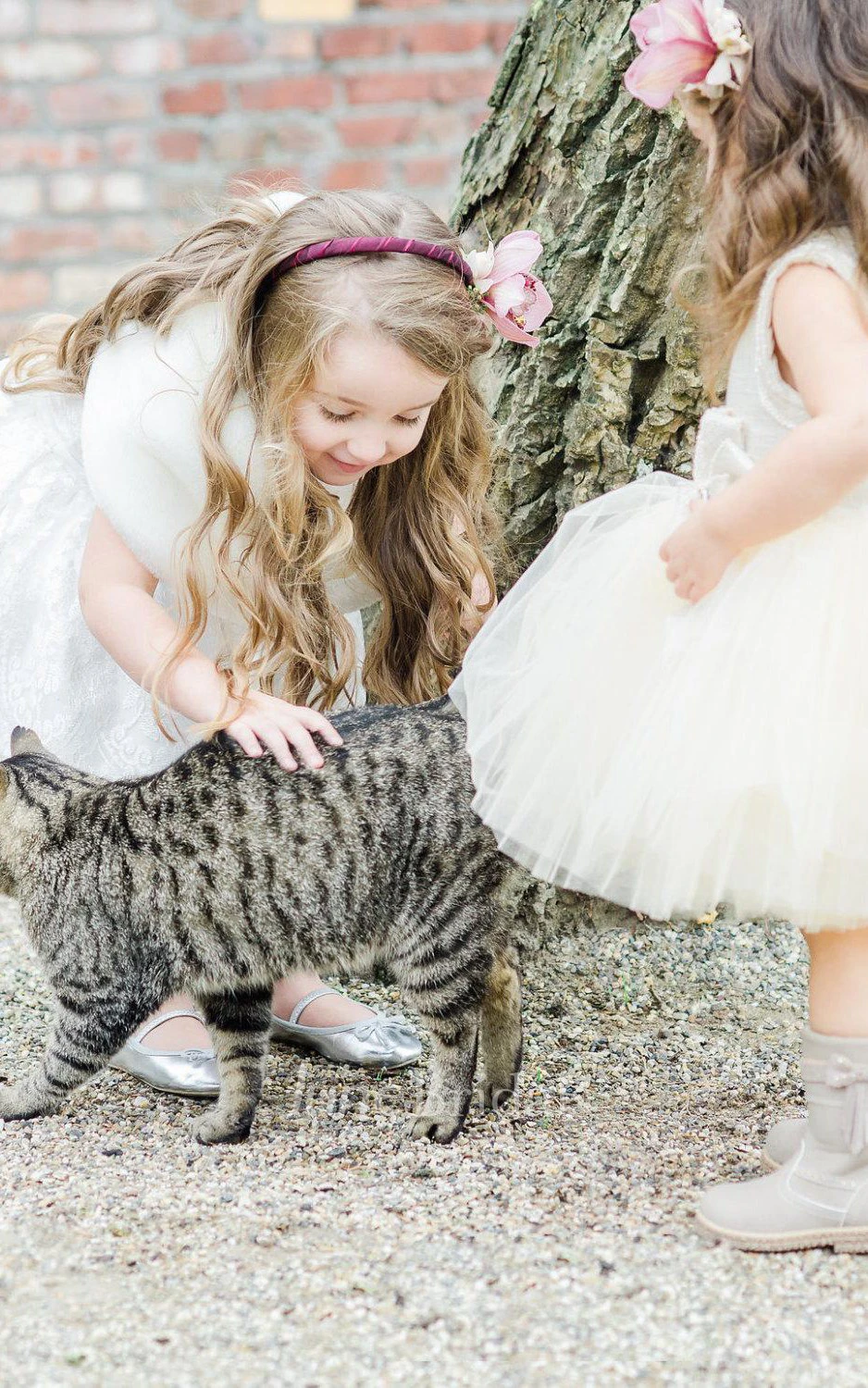 Sleeveless A-line Pleated Short Lace Dress 