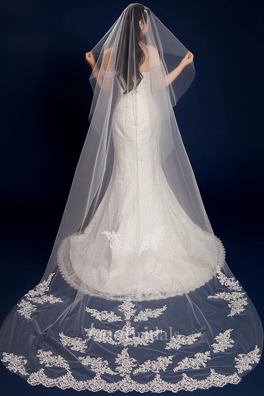 Tulle Cathedral Wedding Veil with Lace Edge and Appliques