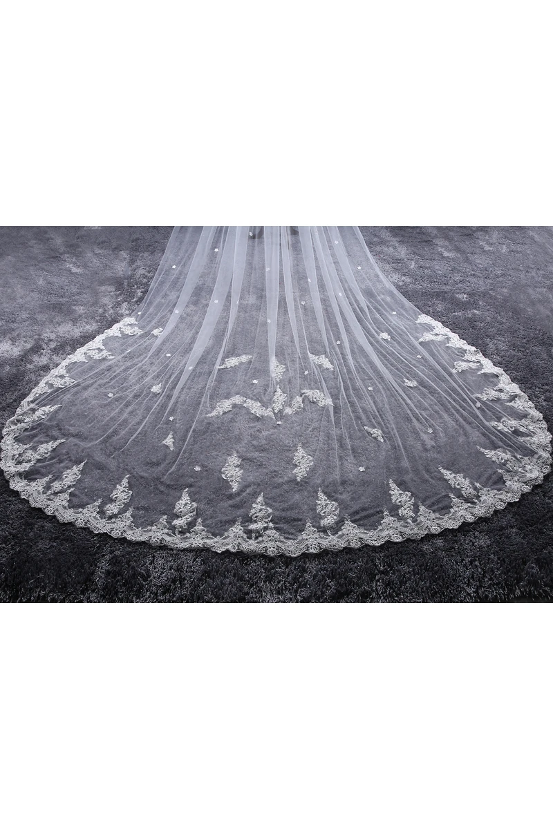 Korean New Style Cathedral Wedding Veil with Lace Edge and Flower Applique