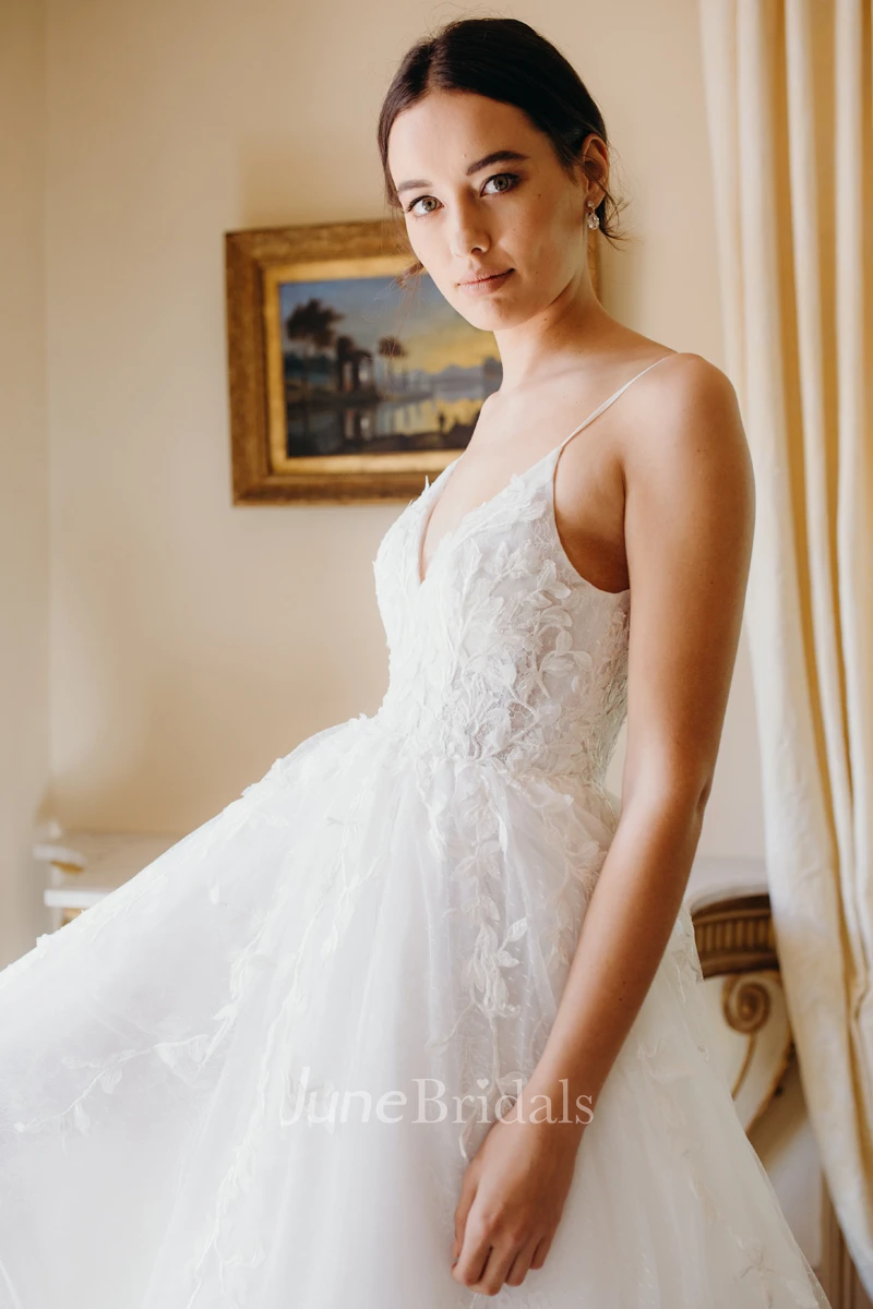 Tulle Backless Ethereal Spaghetti Straps Plunging V-neck Bridal Ballgown With Lace Appliques