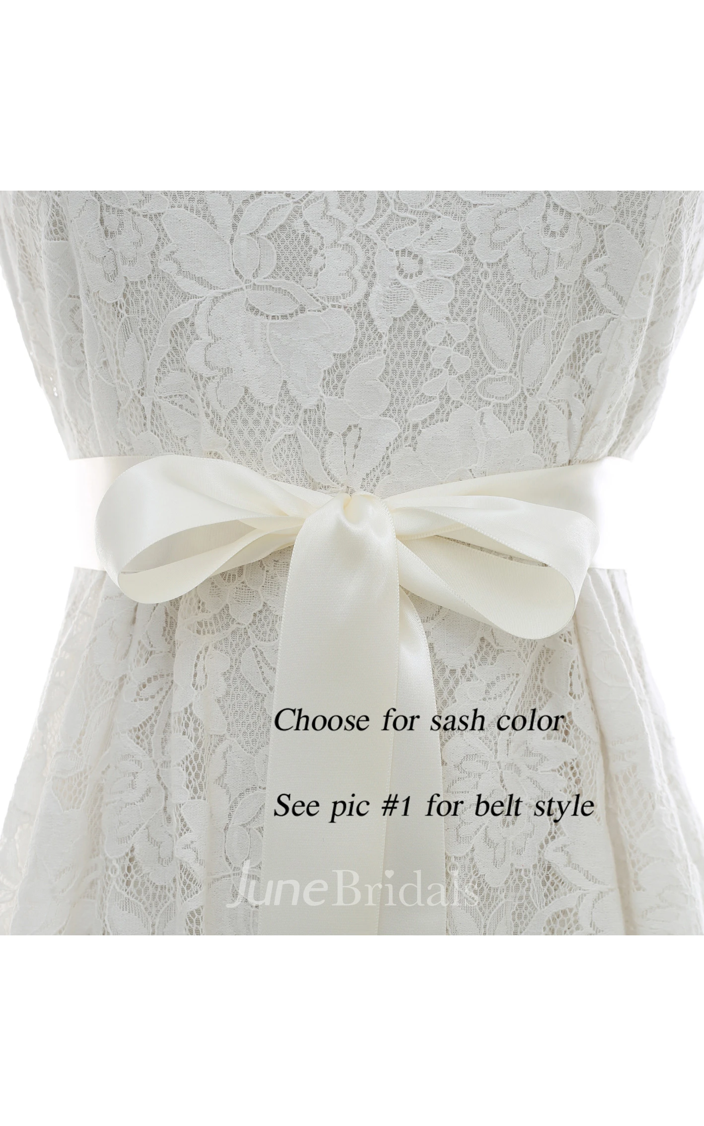 Bridal Crystal Appliqued Belt