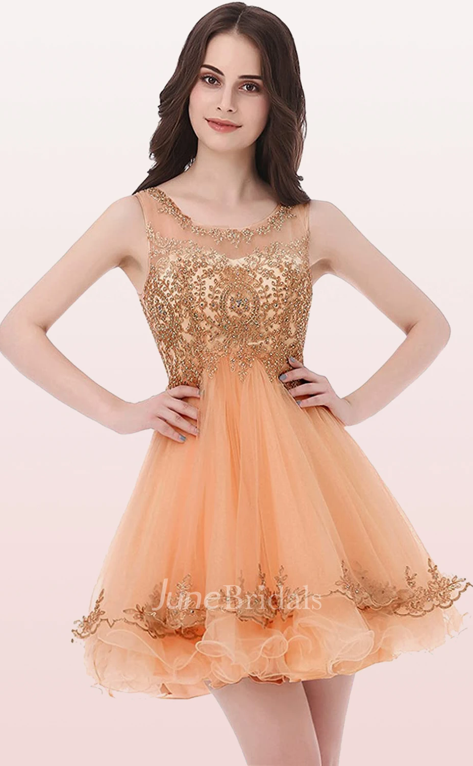 Romantic A Line Tulle Scoop Sleeveless Homecoming Dress with Embroidery