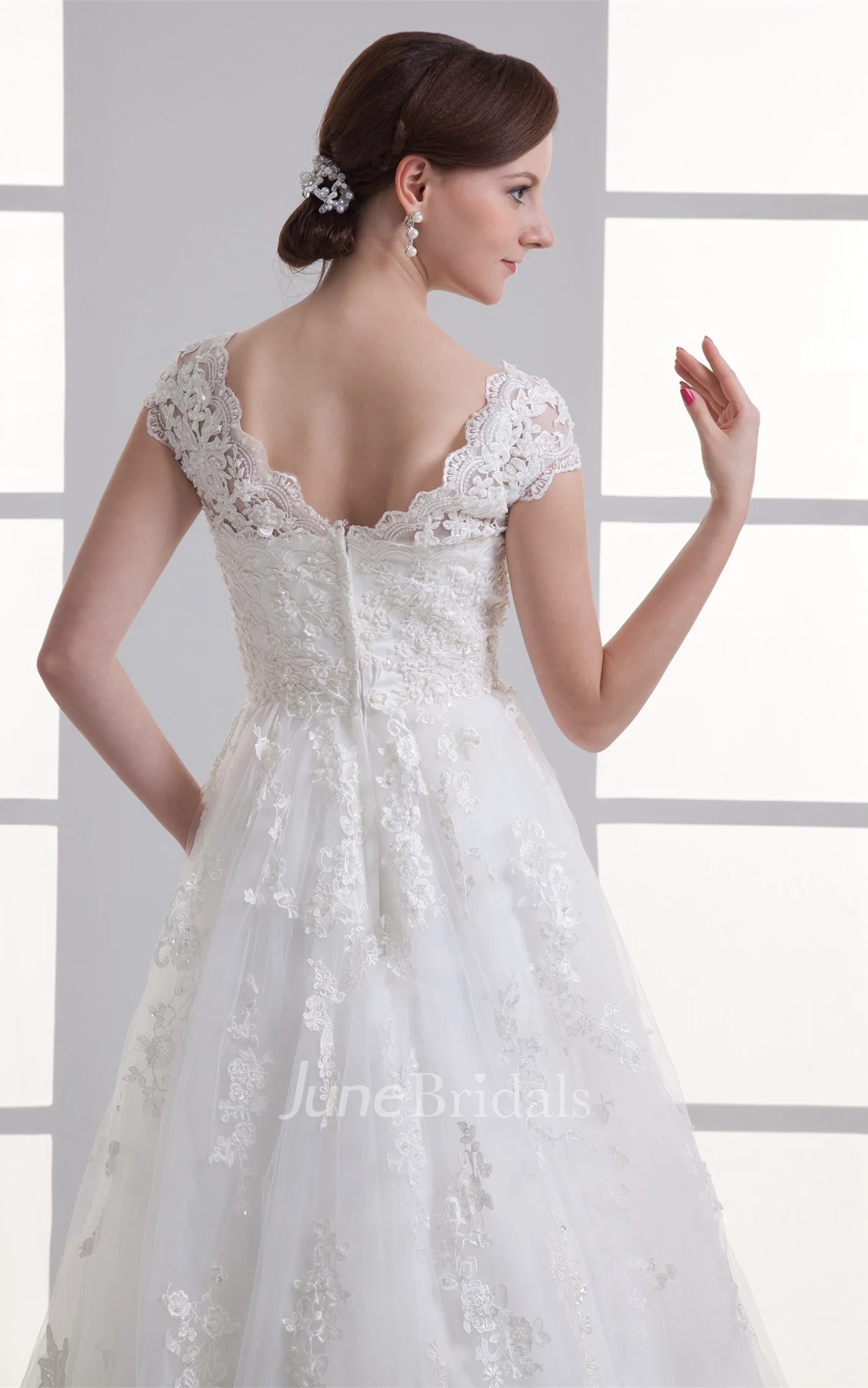 Queen-Anne Lace A-Line Dress with Tulle Overlay