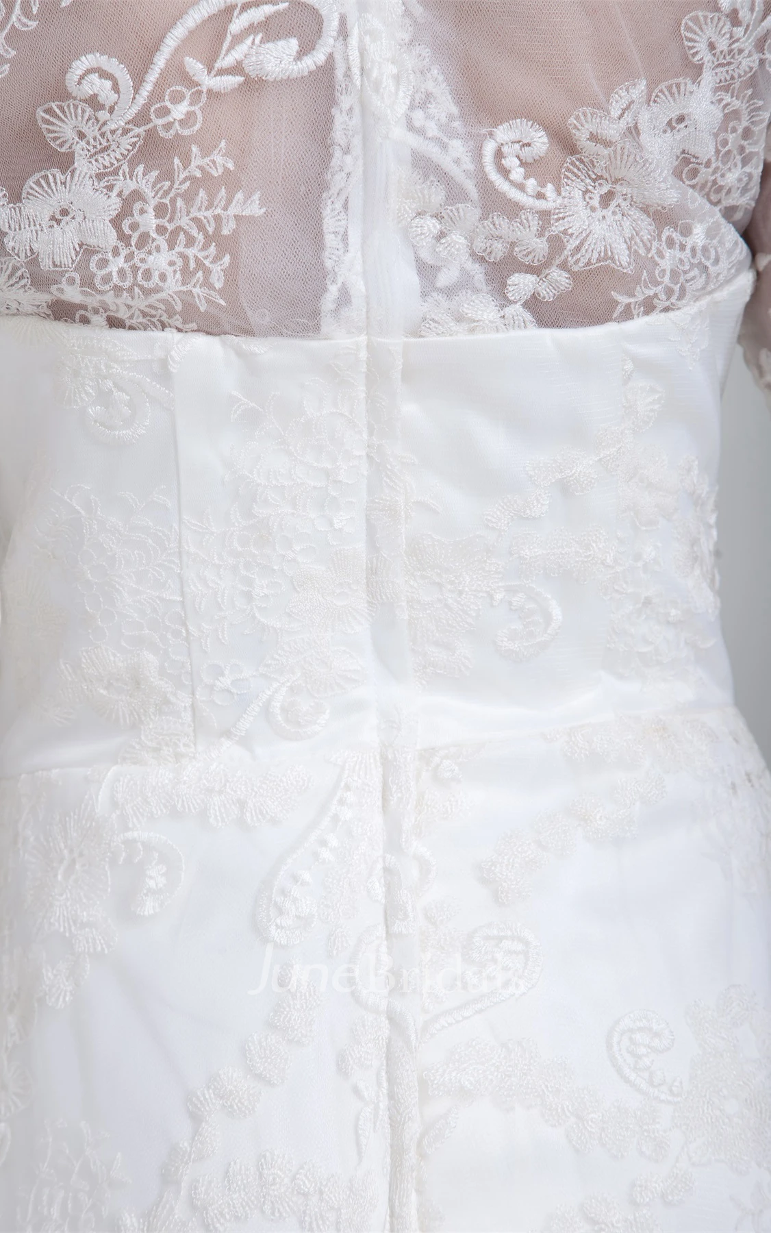 Lace High-Neck A-Line Dress with Illusion Long Sleeve