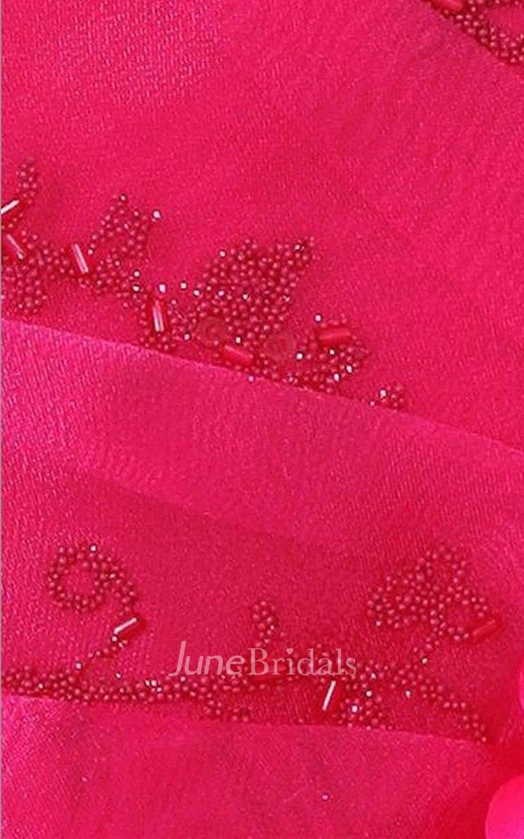 Sleeveless A-line Beaded Dress With Pleats and Shawl