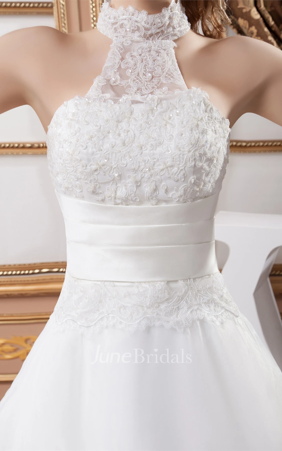 High-Neck Sleeveless A-Line Dress with Appliques and Fitted Waist