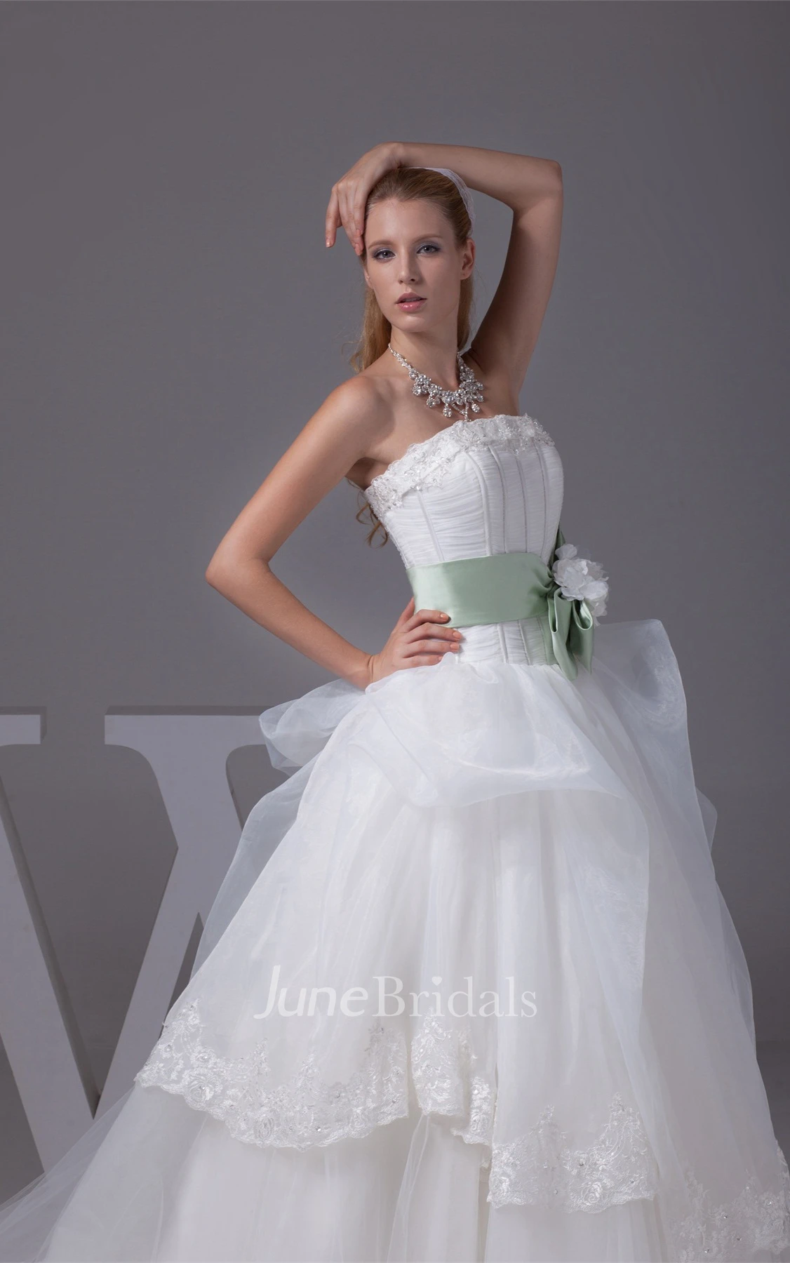 Strapless Tulle Ball Gown with Bowknot and Appliques