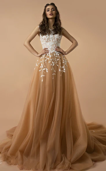 Modern A Line Sleeveless Tulle Bateau Button Floor-length Evening Dress with Appliques