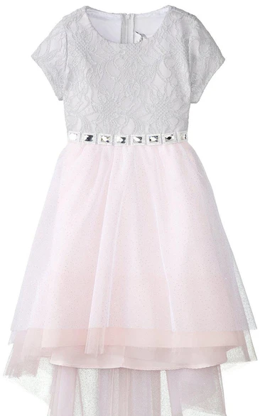 Short-sleeved Scoop-neck A-line Dress With Bow