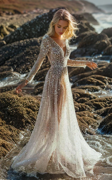 V Neck Long Sleeves Lace Beach Sheer Wedding Dress