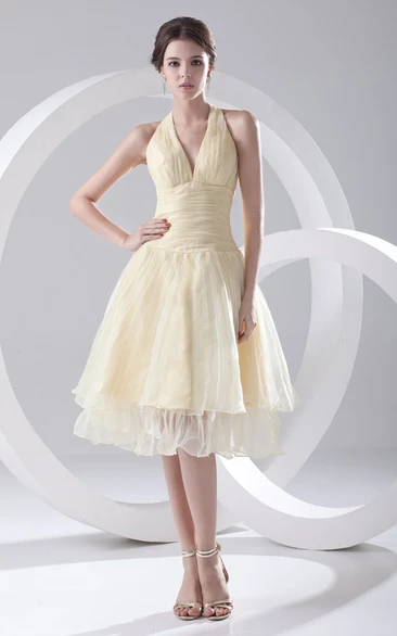 Captivating Organza Dress With Zipper Back And Draping