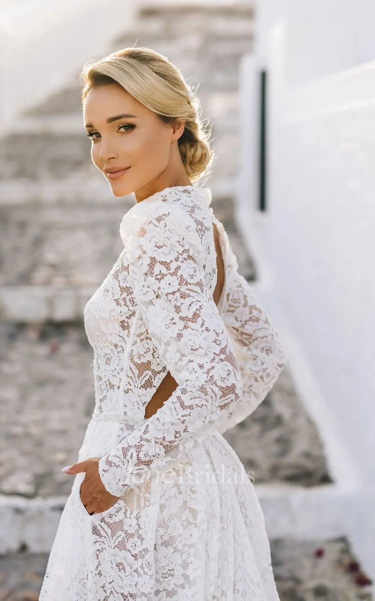 Elegant V Neck Illusion Lace Vintage A-Line Wedding Dress Luxury Backl -  Elsi John