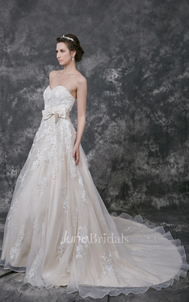 Sleeveless Sweetheart A-line Organza Gown With Lace Court Train