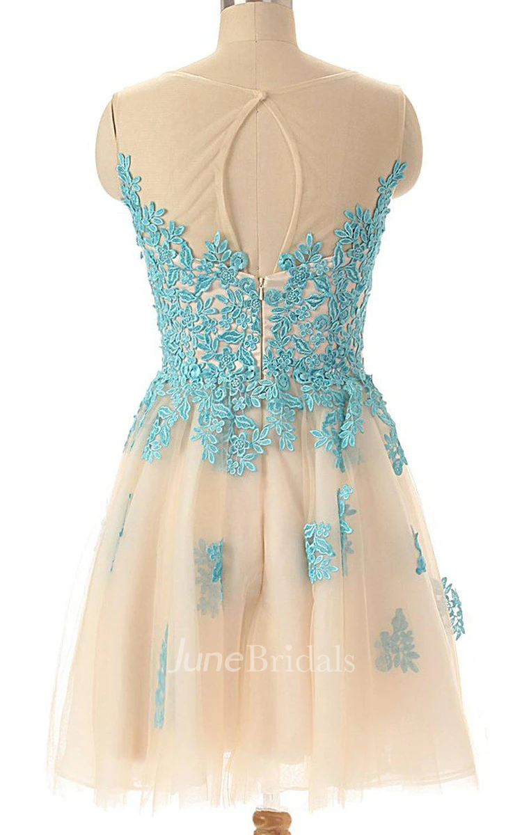 Magical A-line Tulle Short Dress With Lace Appliques