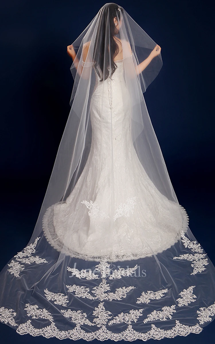 Tulle Cathedral Wedding Veil with Lace Edge and Appliques
