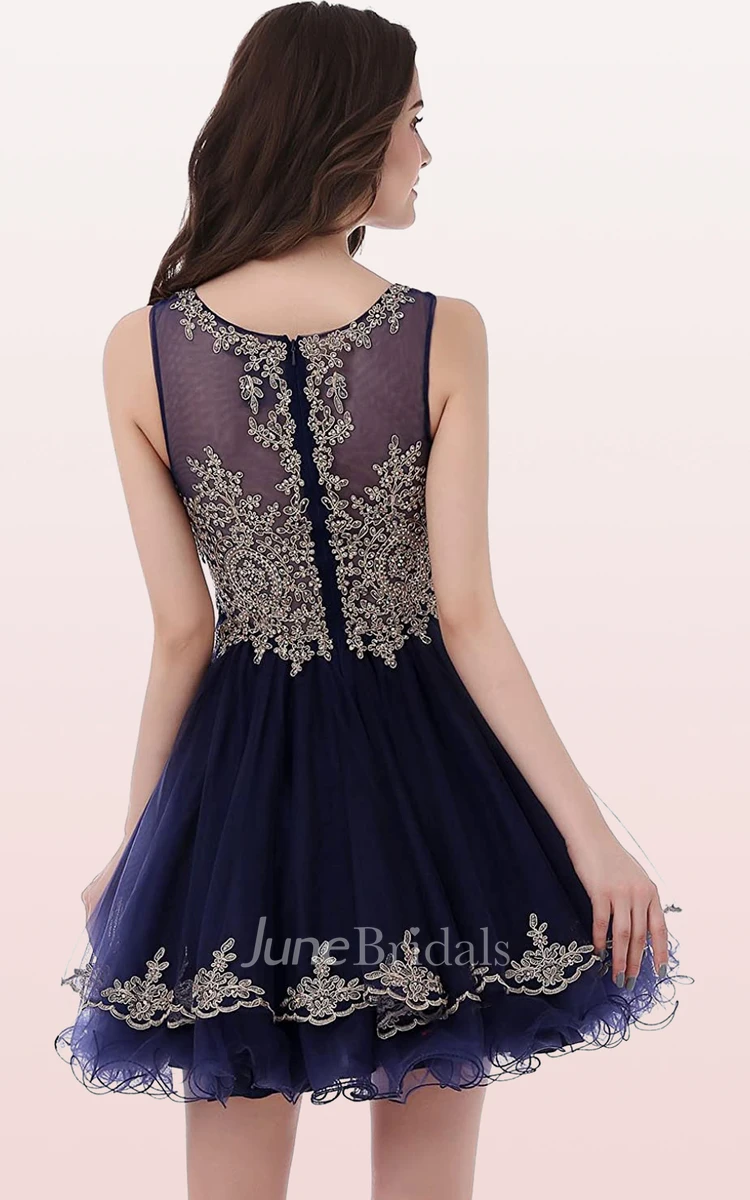 Romantic A Line Tulle Scoop Sleeveless Homecoming Dress with Embroidery