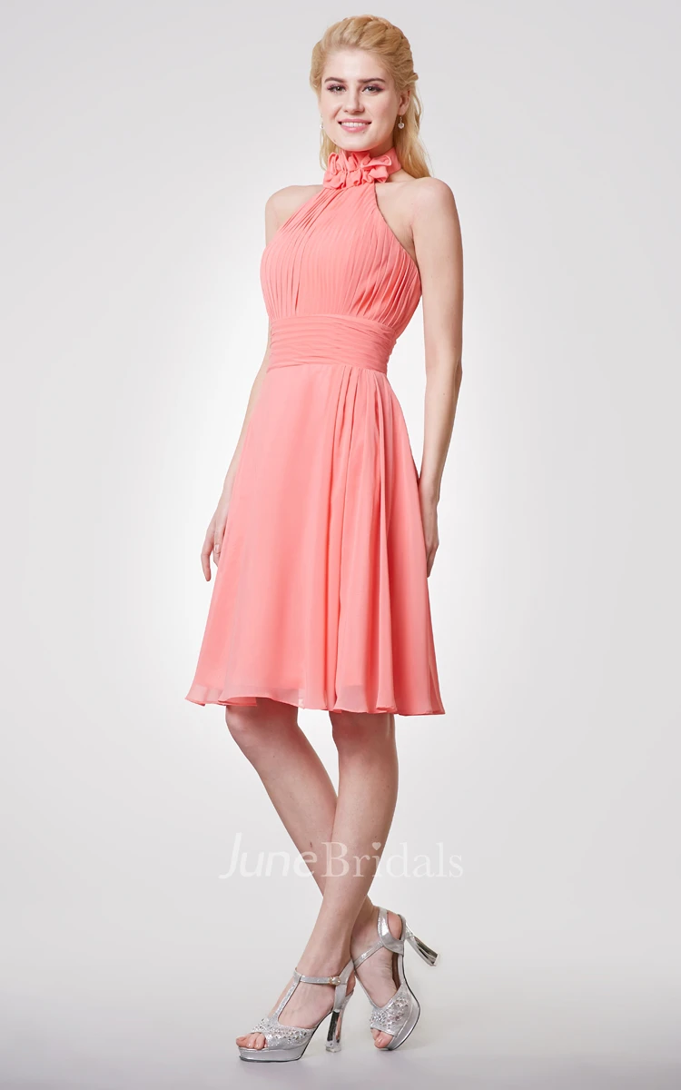 Floral High Neck Knee Length Chiffon Dress With Allover Pleats